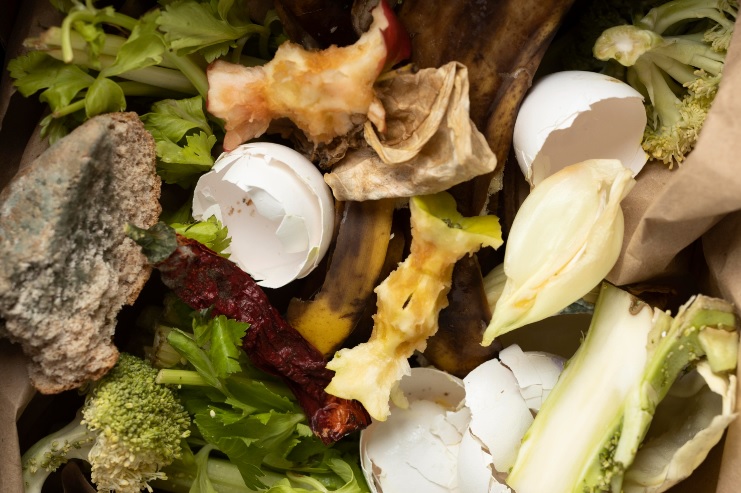 Food waste